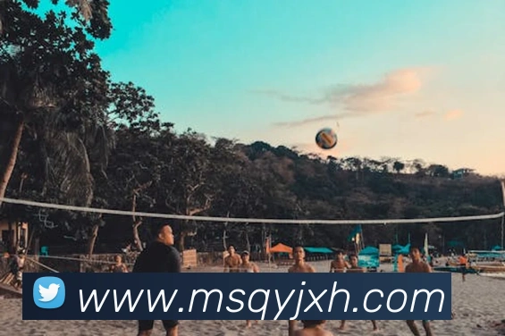 对战数据统计
